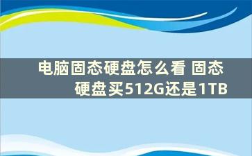 电脑固态硬盘怎么看 固态硬盘买512G还是1TB